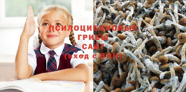 сатива Алексин
