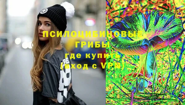 прущая мука Алзамай