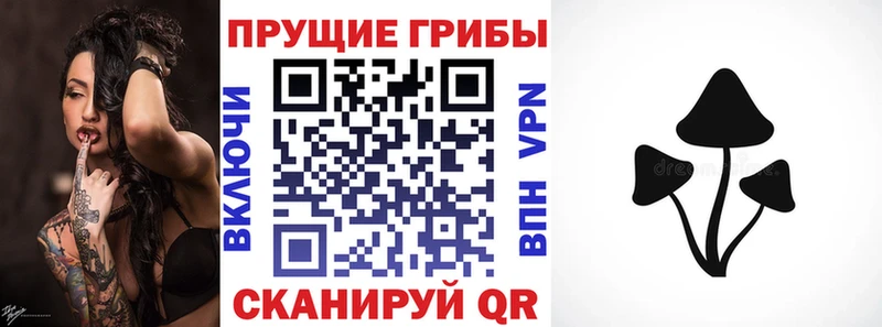 Галлюциногенные грибы мухоморы  как найти   Инсар 